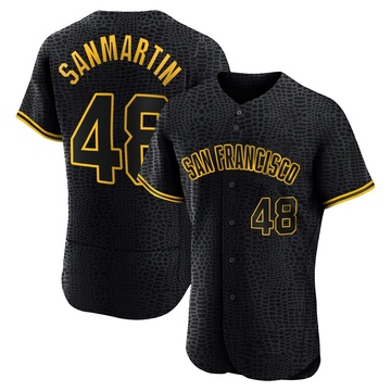 Black Authentic Reiver Sanmartin Men's San Francisco Giants Snake Skin City Jersey